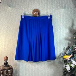 Blue Pleated Skirt